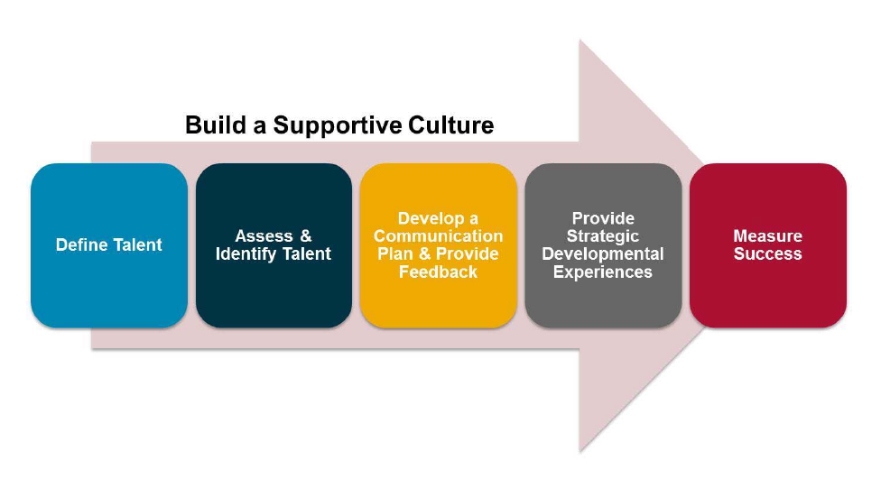 Build a Supportive Culture