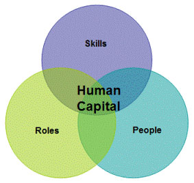 Human Capital