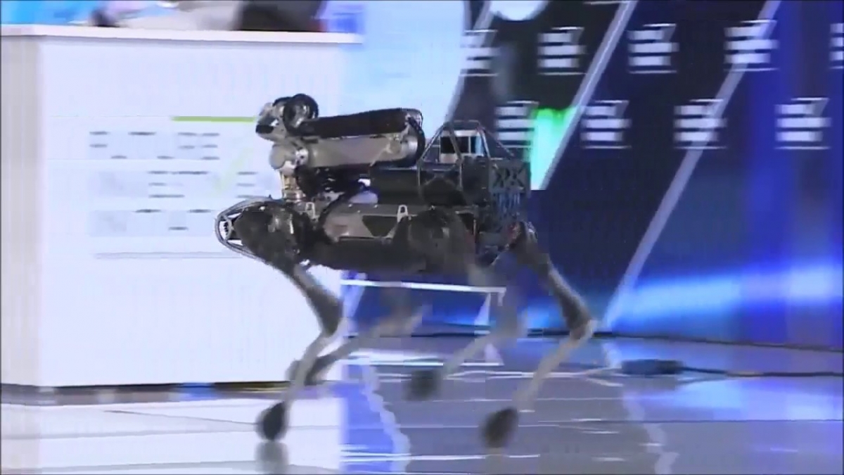 The Coming Robot Revolution